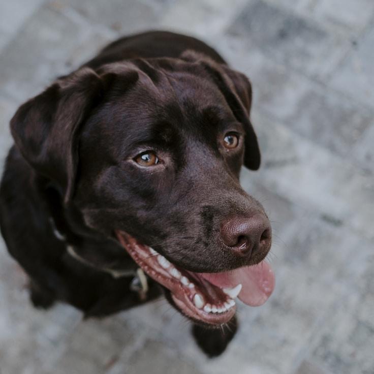 Jordan Lee, Client Relations Director, discussing corporate gifting strategy with business clients